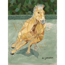 Run Like the Wind Run Like the Wind